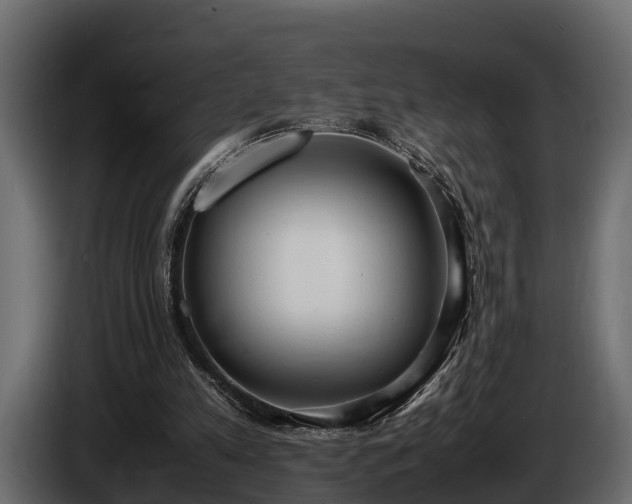 X0000085780197200703231253