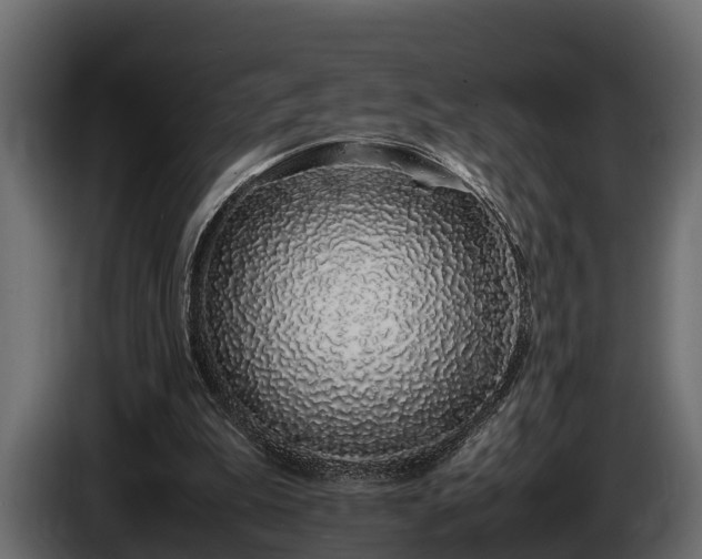 X0000085780199200703231253