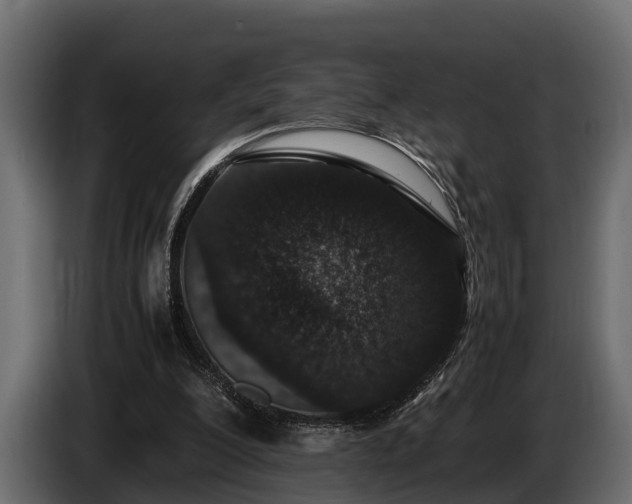 X0000085780200200703231253