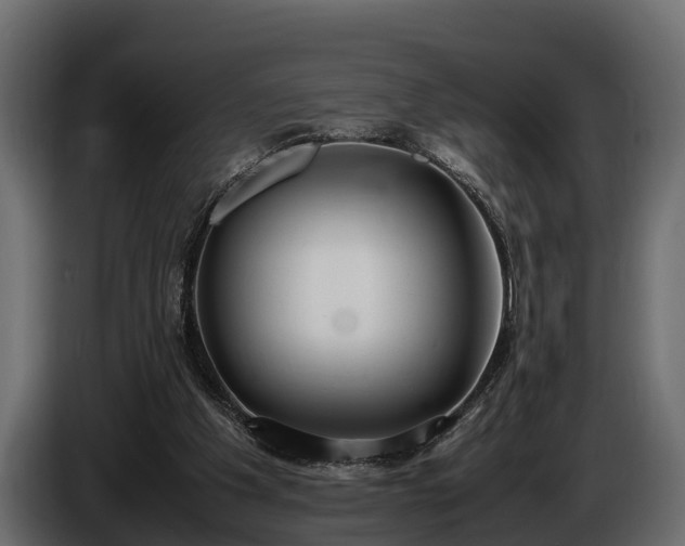 X0000085780201200703231253