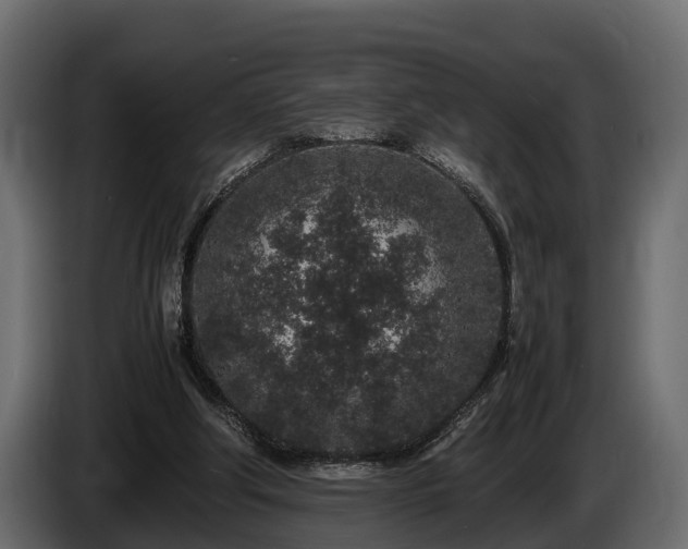 X0000085780202200703231253