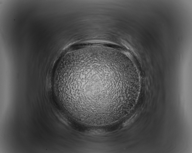 X0000085780203200703231253