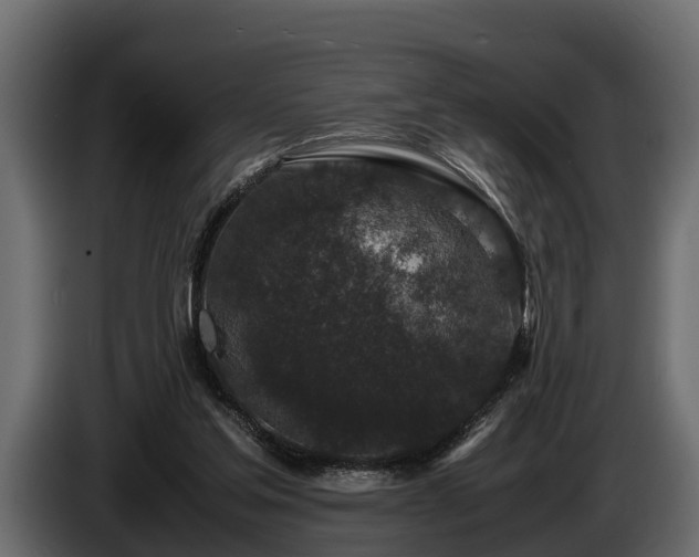 X0000085780205200703231253