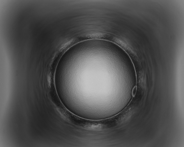 X0000085780206200703231253