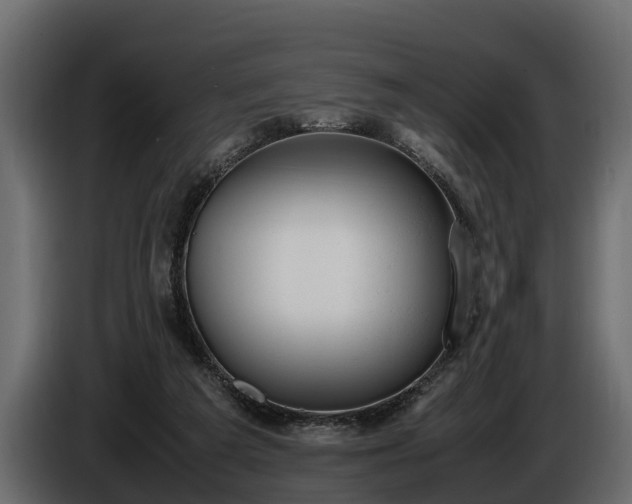 X0000085780209200703231253