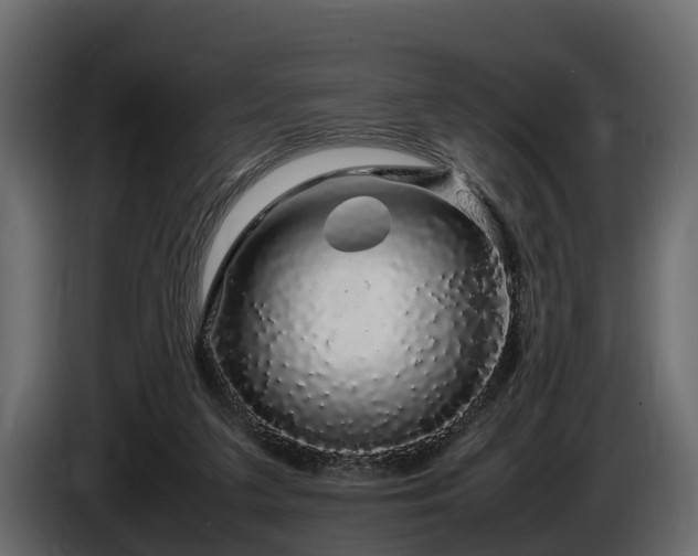 X0000085780211200703231253