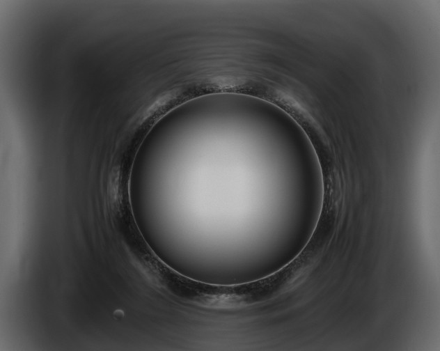 X0000085780212200703231253