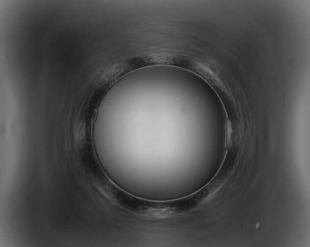 X0000085780213200703231253