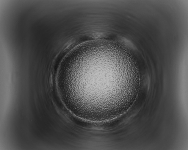 X0000085780214200703231253