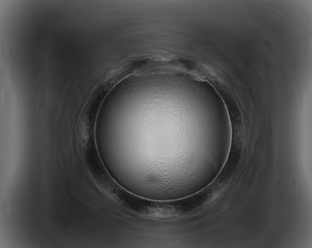 X0000085780215200703231253