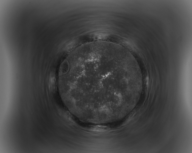 X0000085780222200703231253