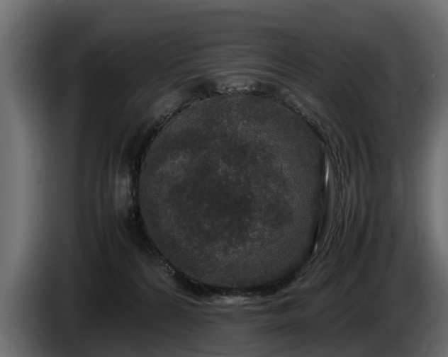 X0000085780224200703231253