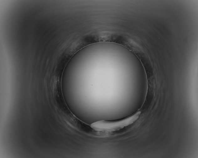 X0000085780225200703231253