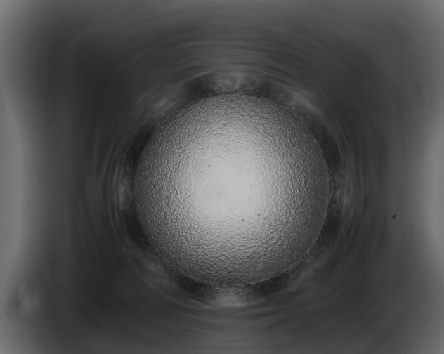 X0000085780226200703231253