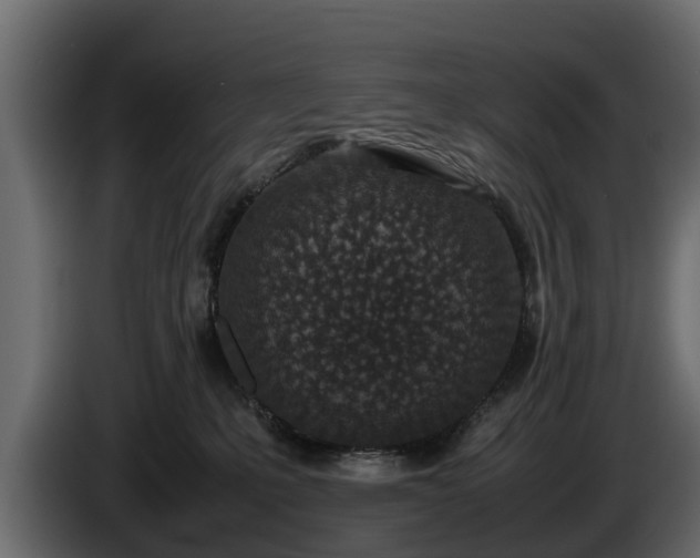 X0000085780231200703231253