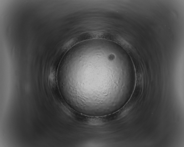 X0000085780238200703231253