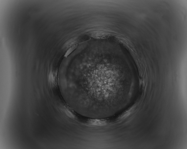 X0000085780239200703231253