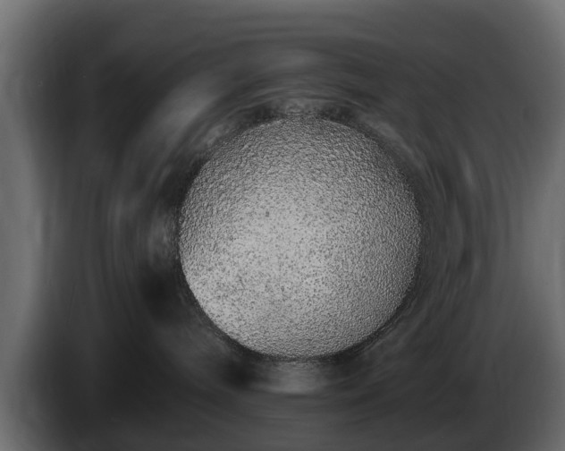 X0000085780240200703231253