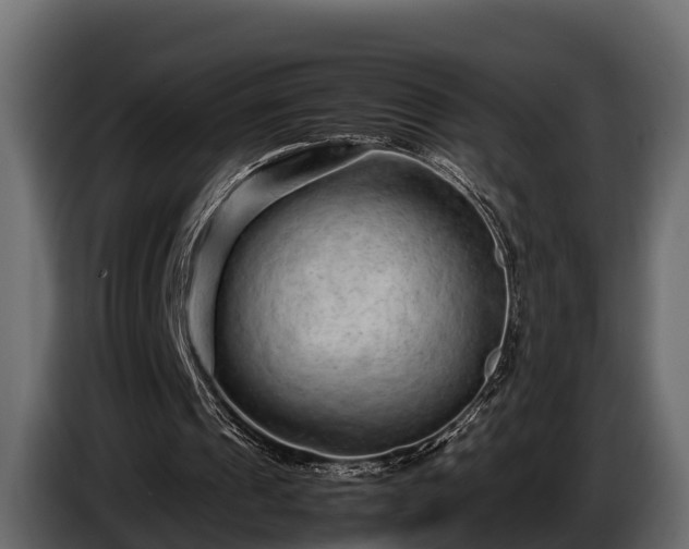 X0000085780241200703231252