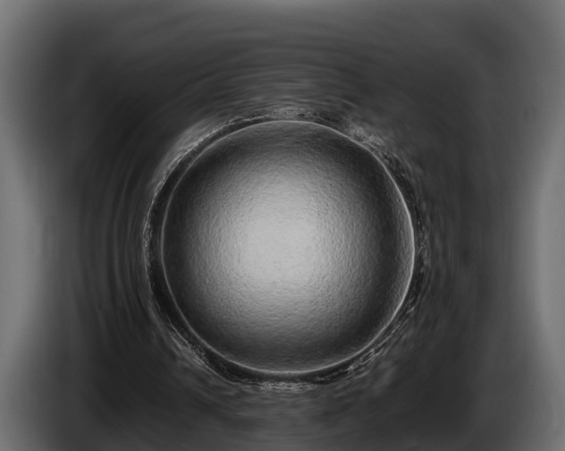 X0000085780242200703231252