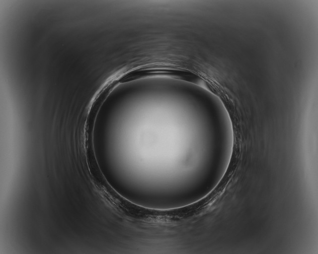 X0000085780244200703231252