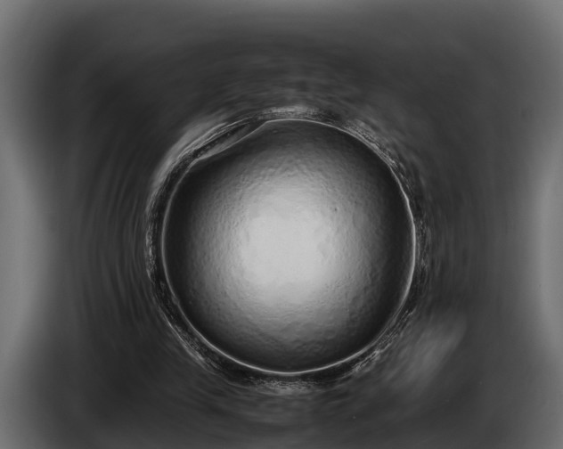 X0000085780245200703231252