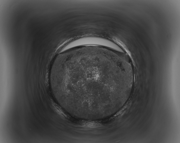 X0000085780249200703231252