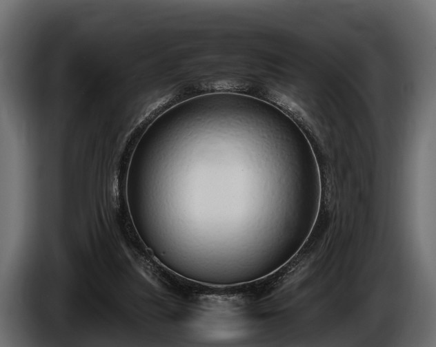 X0000085780251200703231252