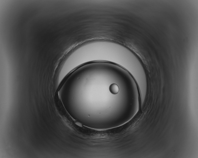 X0000085780252200703231252