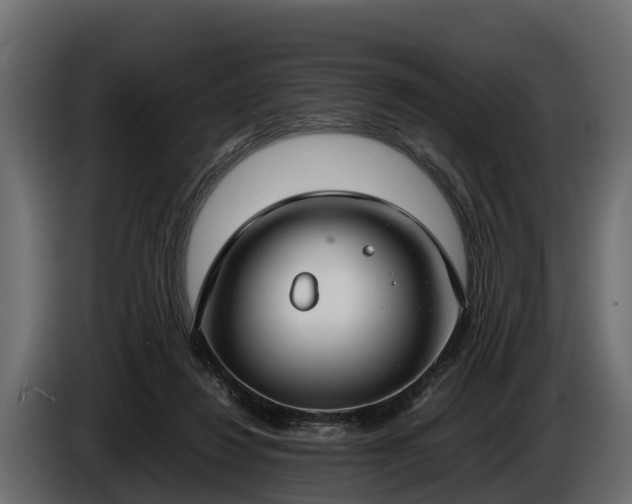 X0000085780260200703231252