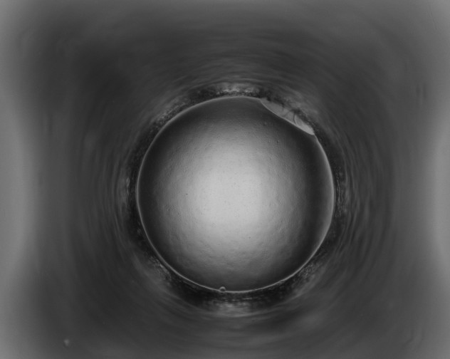 X0000085780263200703231252