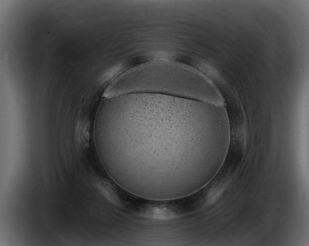 X0000085780264200703231252