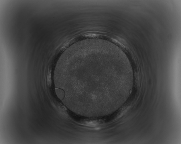 X0000085780267200703231252