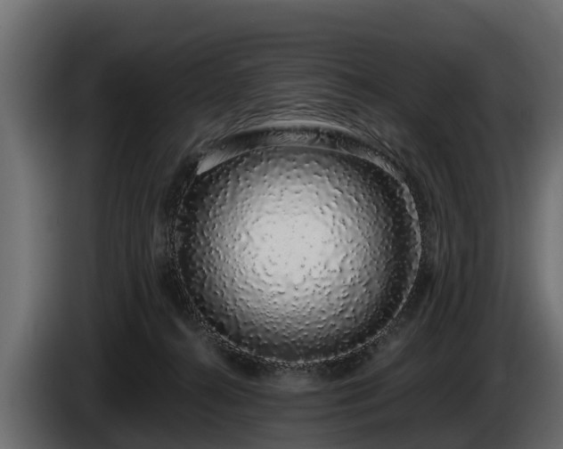 X0000085780272200703231252