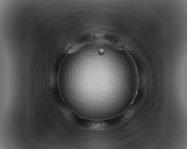 X0000085780274200703231252