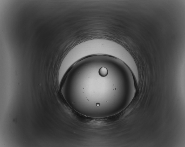 X0000085780280200703231252