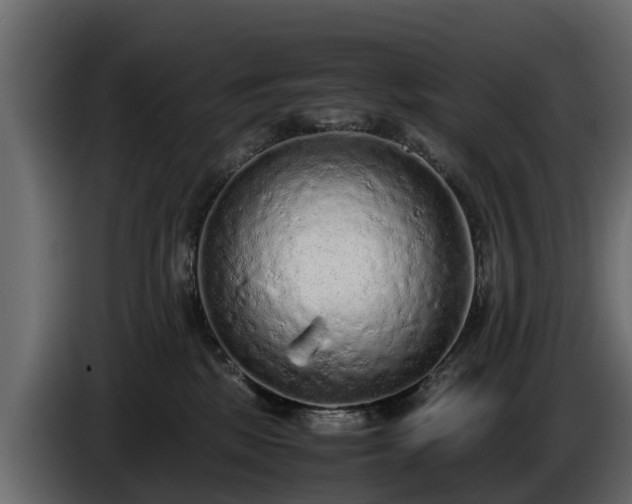 X0000085780281200703231252