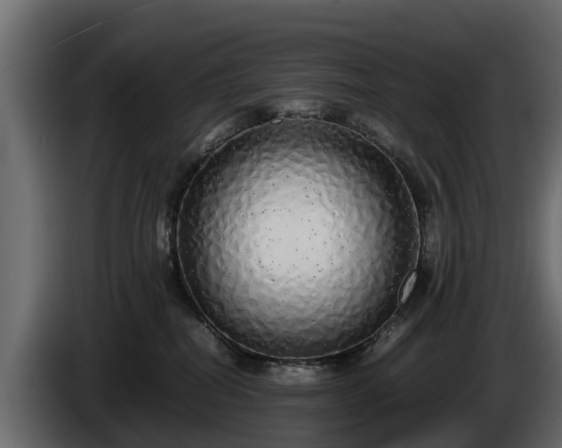 X0000085780282200703231252