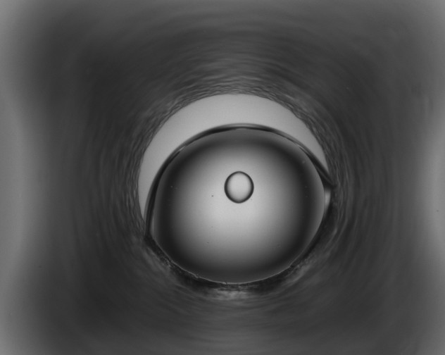 X0000085780284200703231252