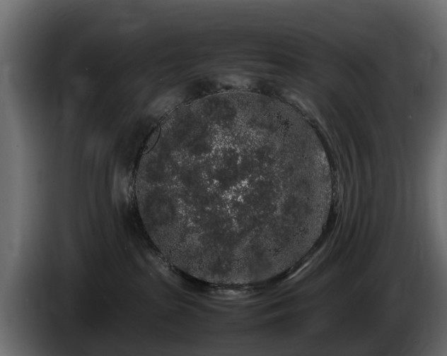 X0000085780285200703231252