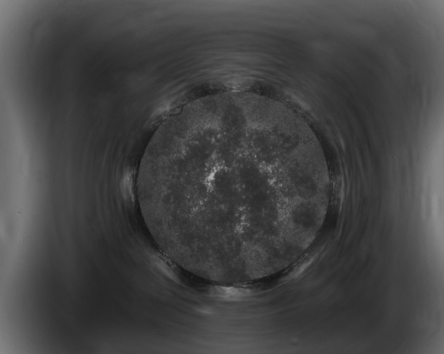 X0000085780286200703231252