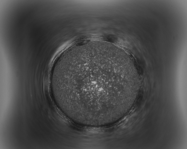 X0000085780293200703231252