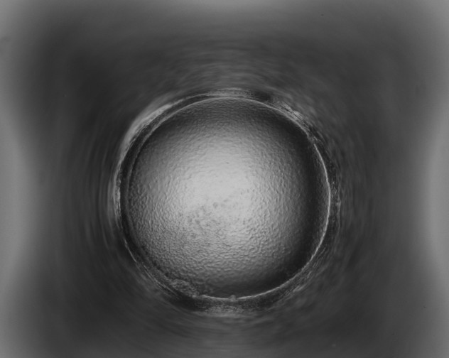 X0000085780294200703231252