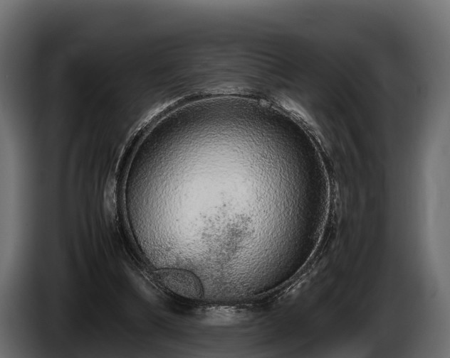 X0000085780298200703231252