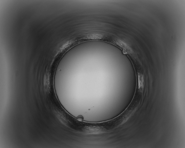 X0000085780300200703231252