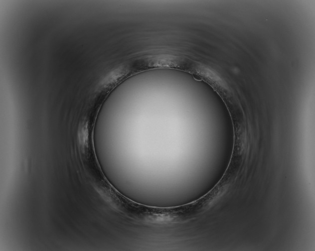 X0000085780310200703231252