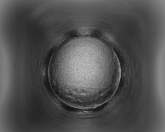 X0000085780315200703231251