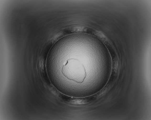 X0000085780326200703231251