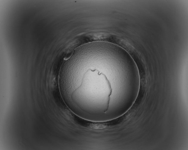 X0000085780327200703231251