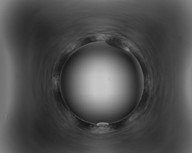 X0000085780329200703231251